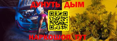 гашик Ливны