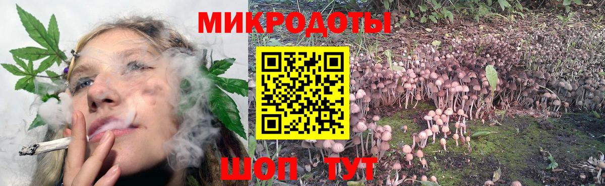 Псилоцибиновые грибы Magic Shrooms Гудермес